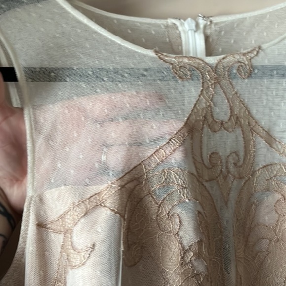 NWT BCBGMaxAzria Champagne “Acotas” Lace-Appliqué Formal Gown Size 10 - Picture 5 of 12